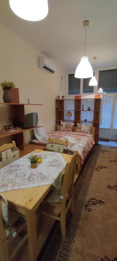 Comfortable And Cosy Studio Near Ndk Sofie Exteriér fotografie